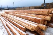 Опоры ЛЭП (деревянные лиственница) 9м и11м