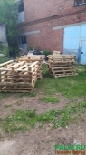 новые деревянные поддоны собственного производства 1200*800  1 и 2 сорт